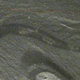 Image for article titled Sorry, But This Gross Fish-Worm Is Your Prehistoric Ancestor